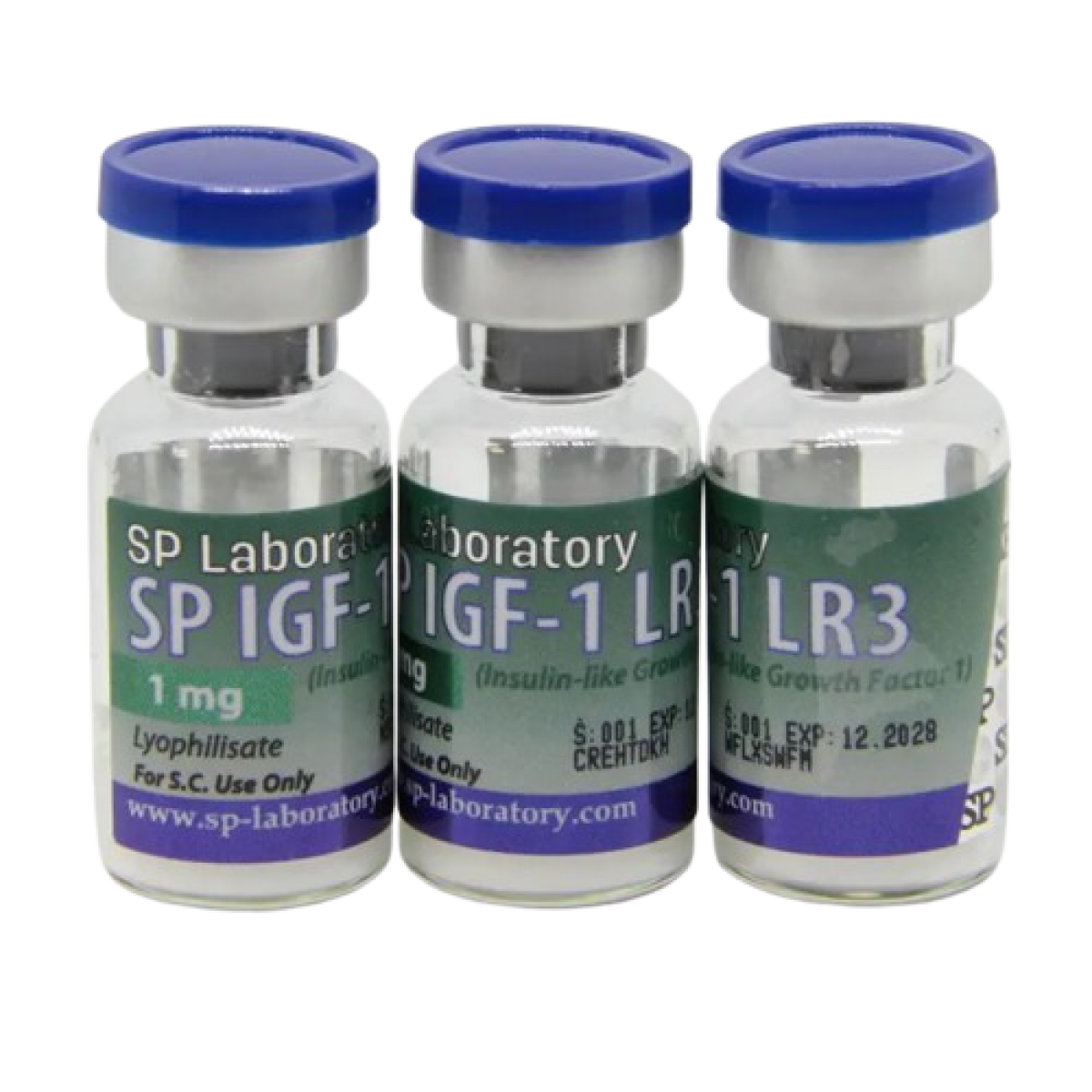 igf 1 lr3 отзывы SPep IGF-1 LR3 1 mg (Пептид SP Labs) купить