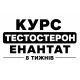 Курс Тестостерон Энантат 8 недель